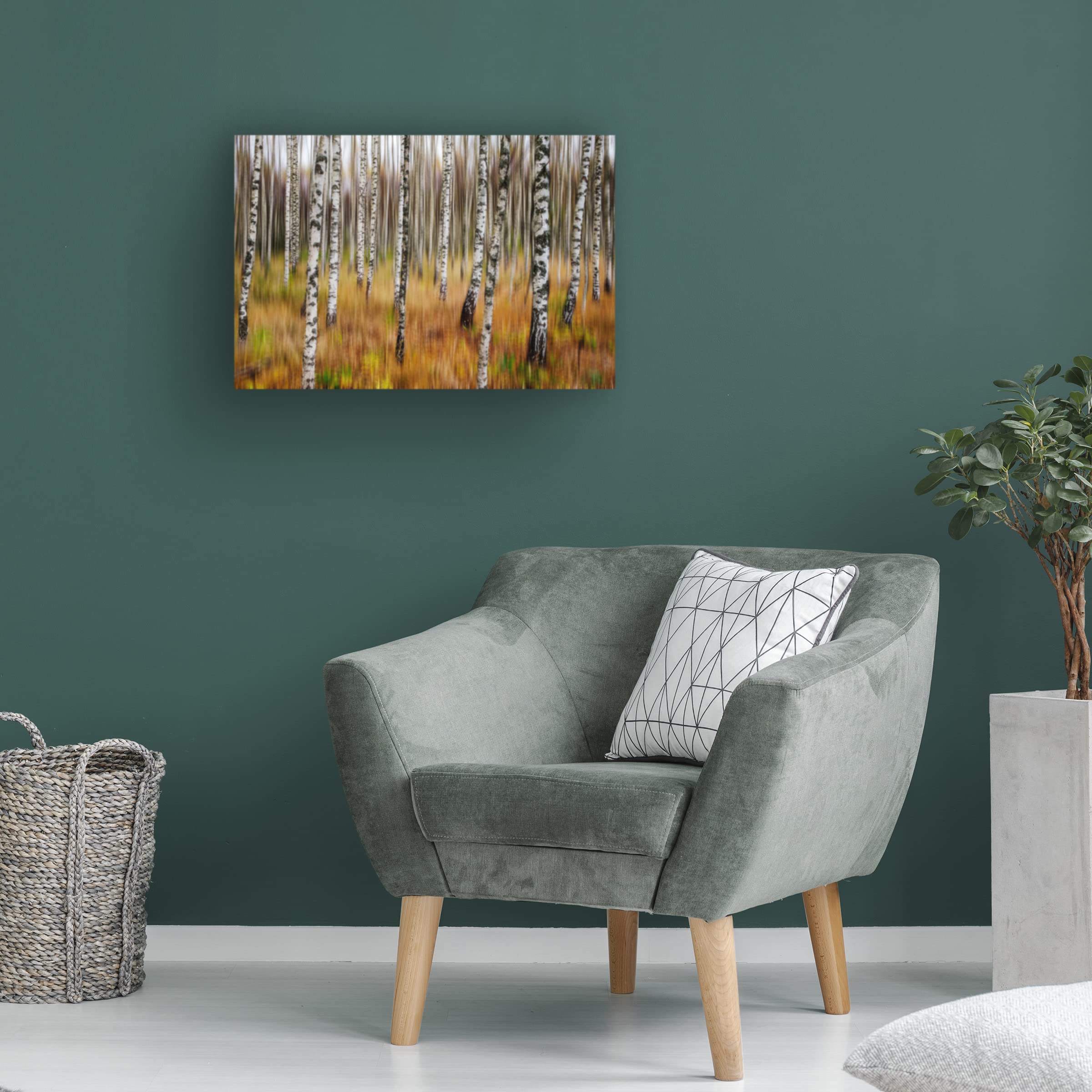 Trademark Fine Art '3D Birches' Canvas Wall Art by Par Söderman - Stunning Nature Landscape Painting for Living Room, Bedroom & Office Decor