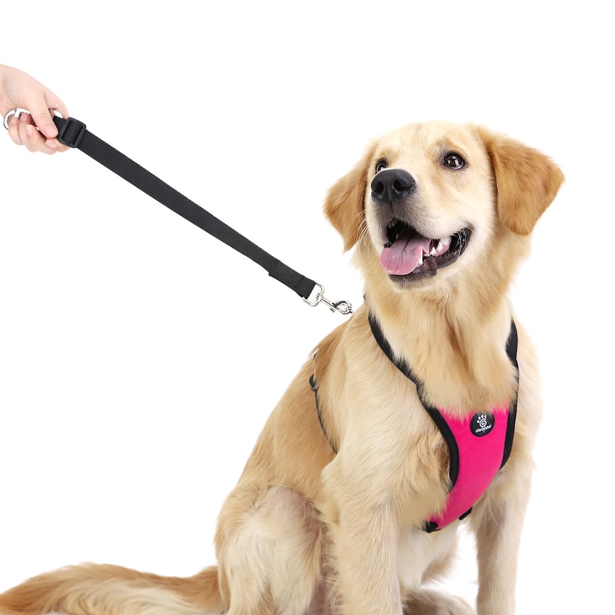 **Heavy Duty Dog Seat Belt for Car - Adjustable Nylon Pet Safety Harness with Buckle, XL Size in Magenta - Perfect for Road Trips & Safe Car Travel with Your Pet**