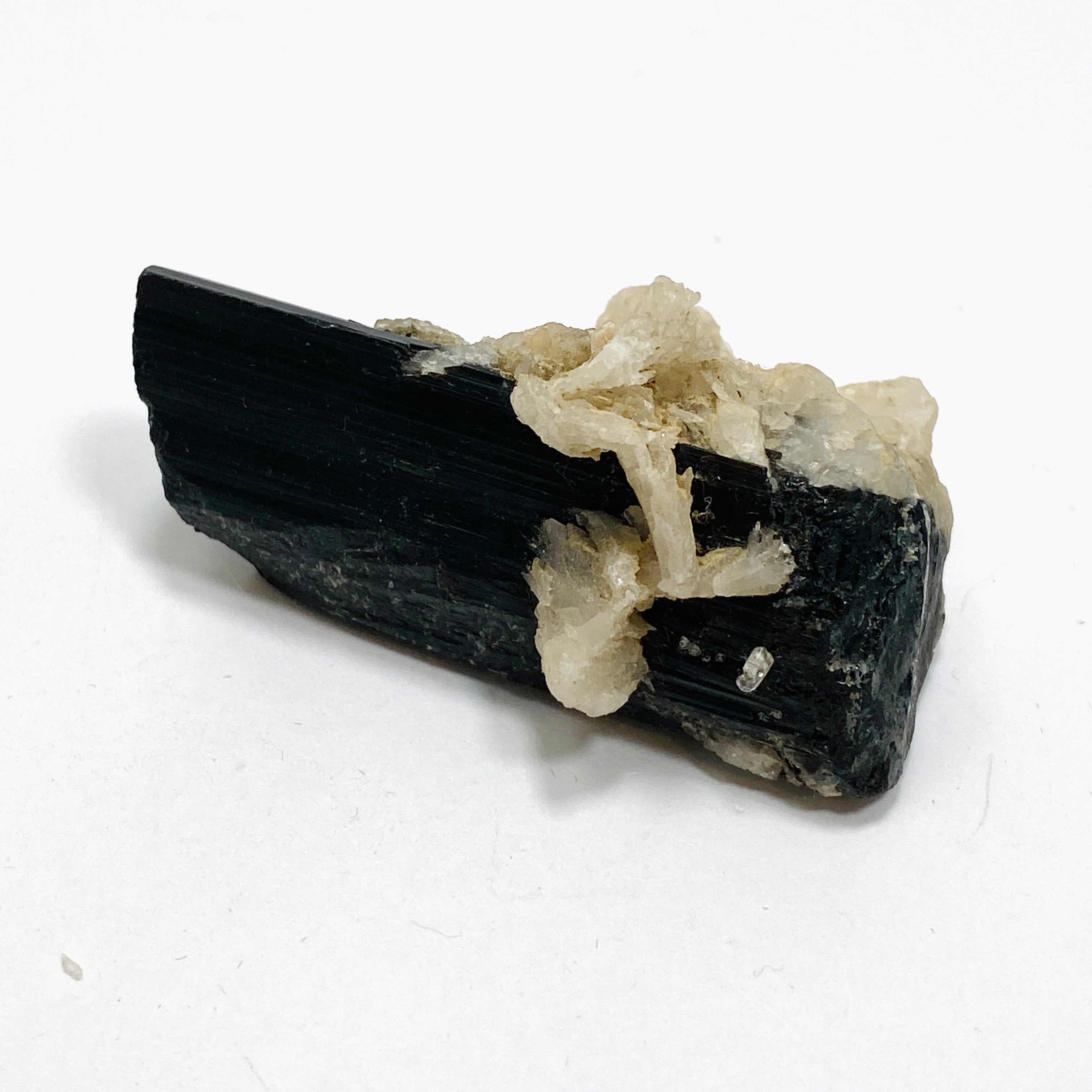 Natural Black Tourmaline Crystal Specimen - Raw Healing Stone for Energy Protection & Grounding | BTS 01 | Perfect for Meditation, Reiki, Home Decor & Mineral Collection