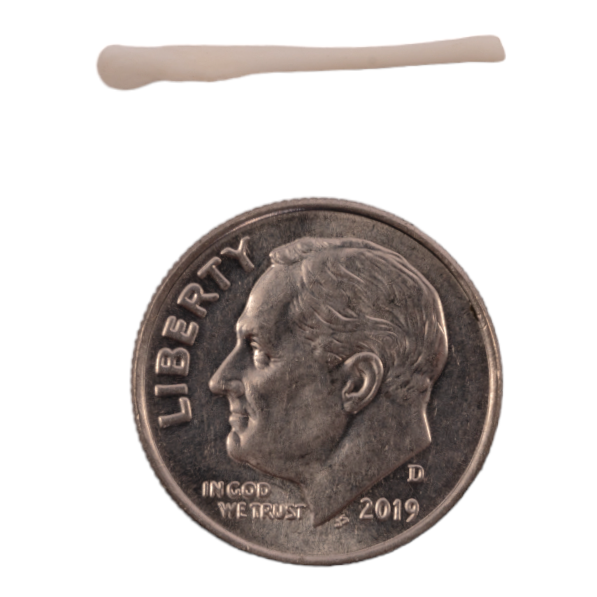 Authentic Nutria Baculum - Genuine Otter Penis Bone for Crafts, Jewelry & Taxidermy - Perfect for DIY Projects, Necklaces & Unique Gifts