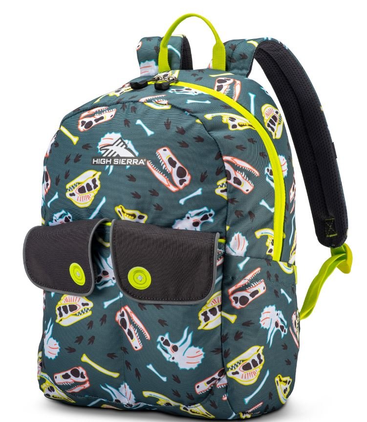 High Sierra Chiqui Backpack - Durable School & Travel Backpack for Kids & Teens - Perfect for Hiking, Camping & Everyday Use