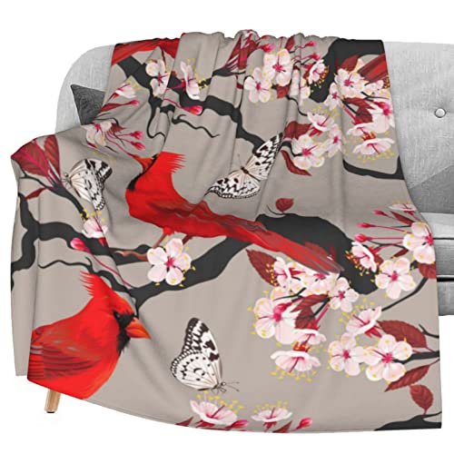 Cardinal and Blooming Cherry