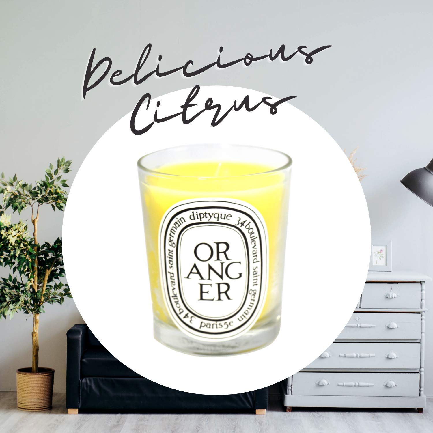 Diptyque Oranger Scented Candle - 6.5 oz Luxury Home Fragrance for Living Room, Bedroom & Bathroom - I0005050 - Perfect for Relaxation, Aromatherapy & Gift Giving