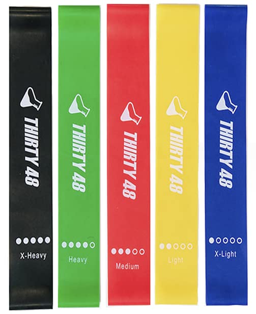 Thirty48 Gliding Discs Core Sliders with 5 Resistance Bands - Home Gym Workout Equipment for Strength Training, Stability Exercises & Crossfit - Includes User Guide & Carry Bag - Perfect for Home Fitness, Travel Workouts & Gym Training