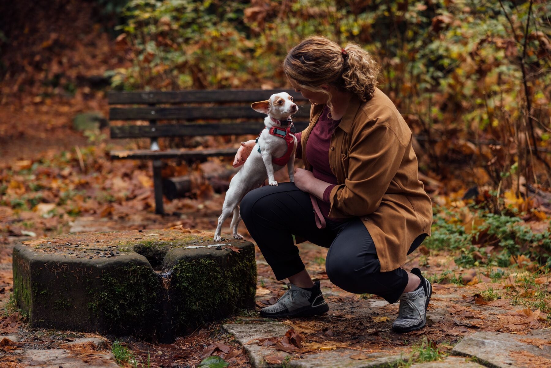 Ruffwear Hi & Light® Ultralight Dog Collar in Pink Salmon – Adjustable & Reflective for Small to Medium Dogs – Perfect for Hiking, Running & Outdoor Adventures