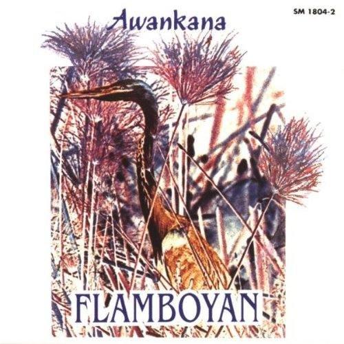 Awankana Flamboyan - Exotic Tropical Flower Seeds for Home Garden Planting | Perfect for Landscaping, Balcony Decor & Gift Giving