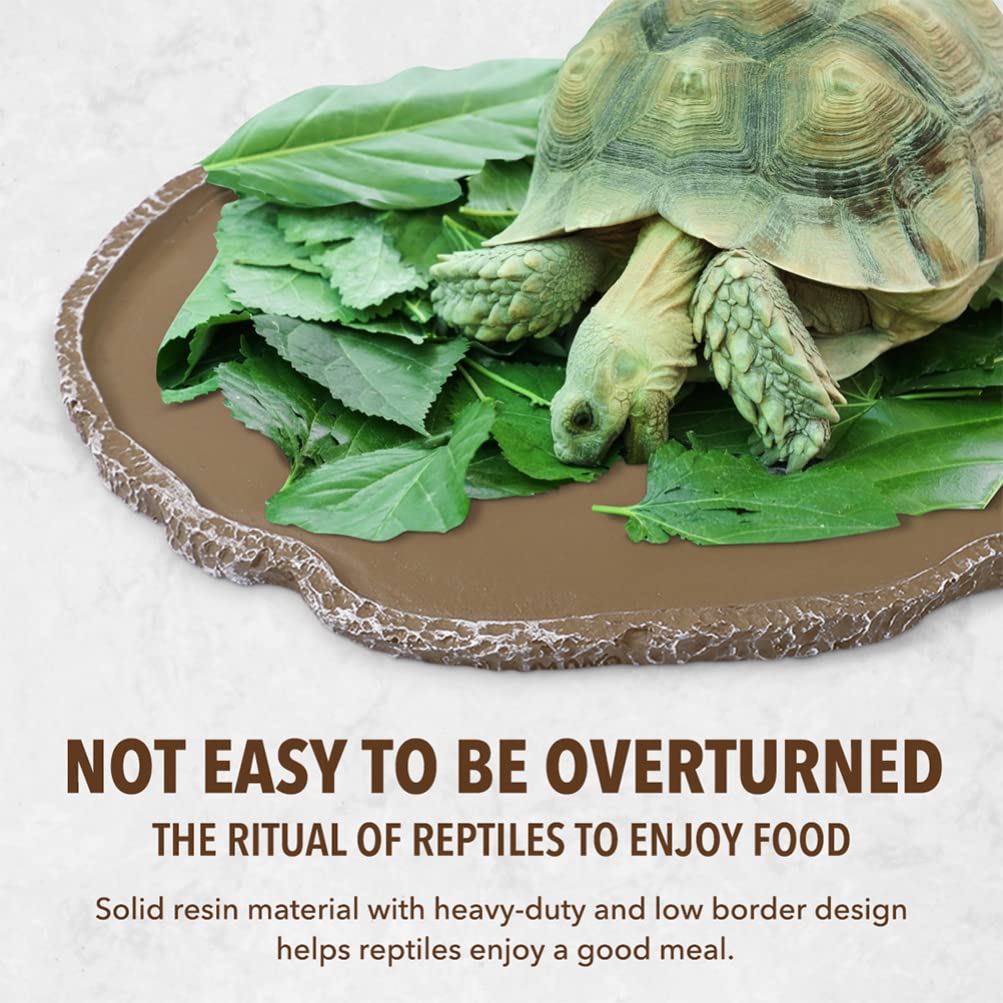 2-Pack Durable Resin Reptile Food and Water Dishes - Non-Slip Tortoise Feeding Bowls for Turtles, Lizards & Small Pets - Ideal for Terrariums, Habitats & Outdoor Enclosures