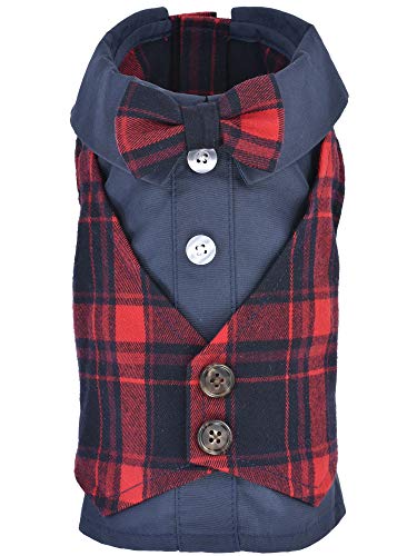 Scottish Red Tuxedo