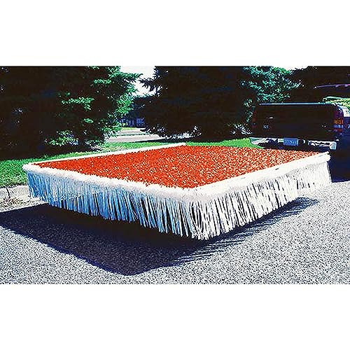 Orange and White