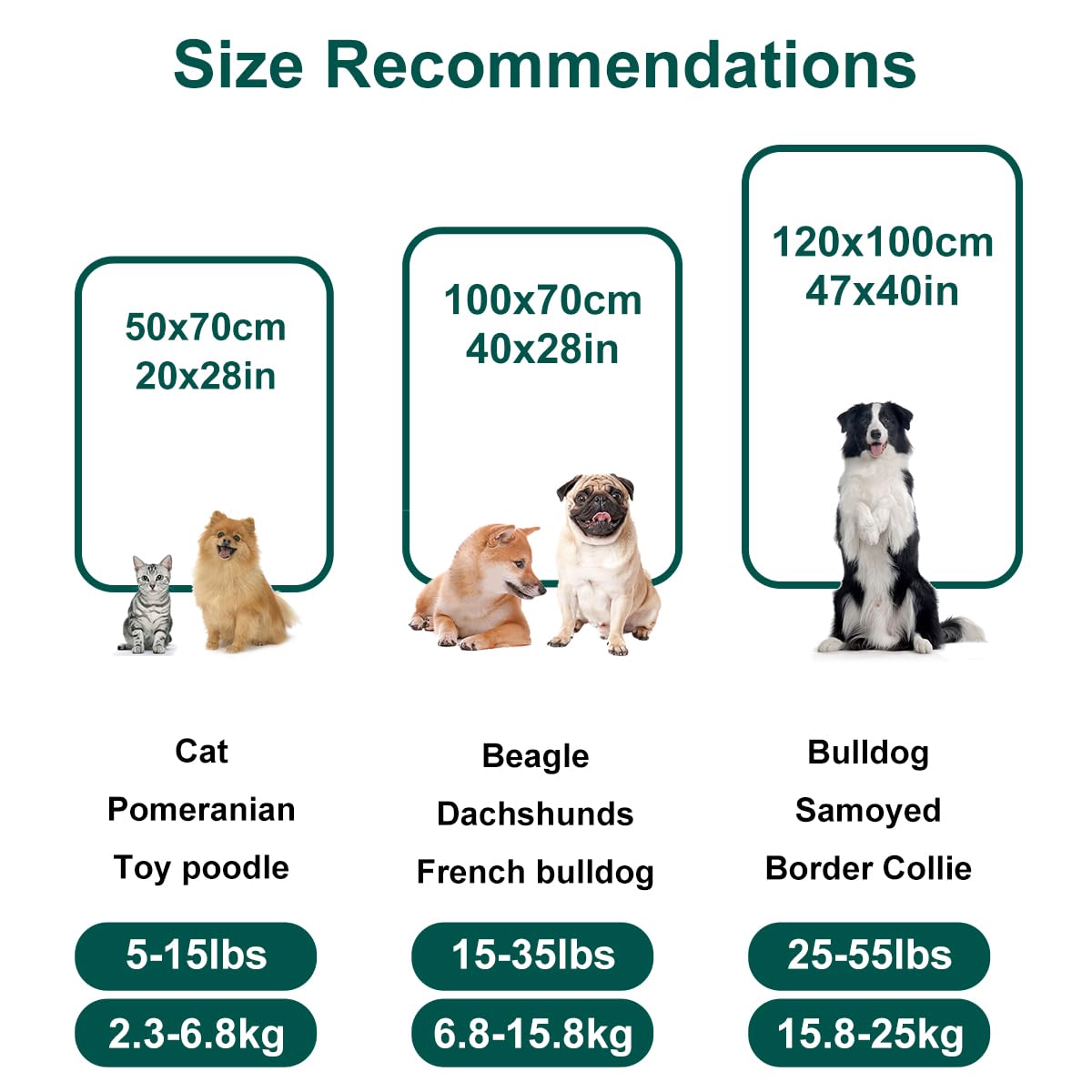 Washable Dog Blanket for Puppies & Cats - 4 Pack Soft Fluffy Fleece Pet Blankets 40