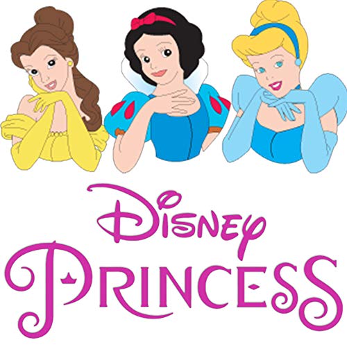 Disney Princess Tent