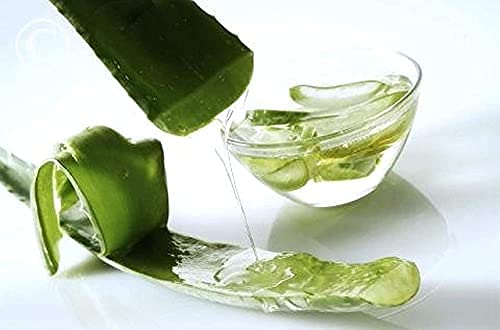 PLANETONE Cooling Aloe Vera Gel Eye Mask - 6 Pack for Dark Circles, Puffiness & Fatigue Relief | Soothing Ice Sleeping Eye Patches for Summer & Travel | Hydrating Eye Care Gel Pads for Men & Women