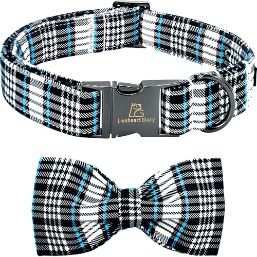 Blue and Black Plaid
