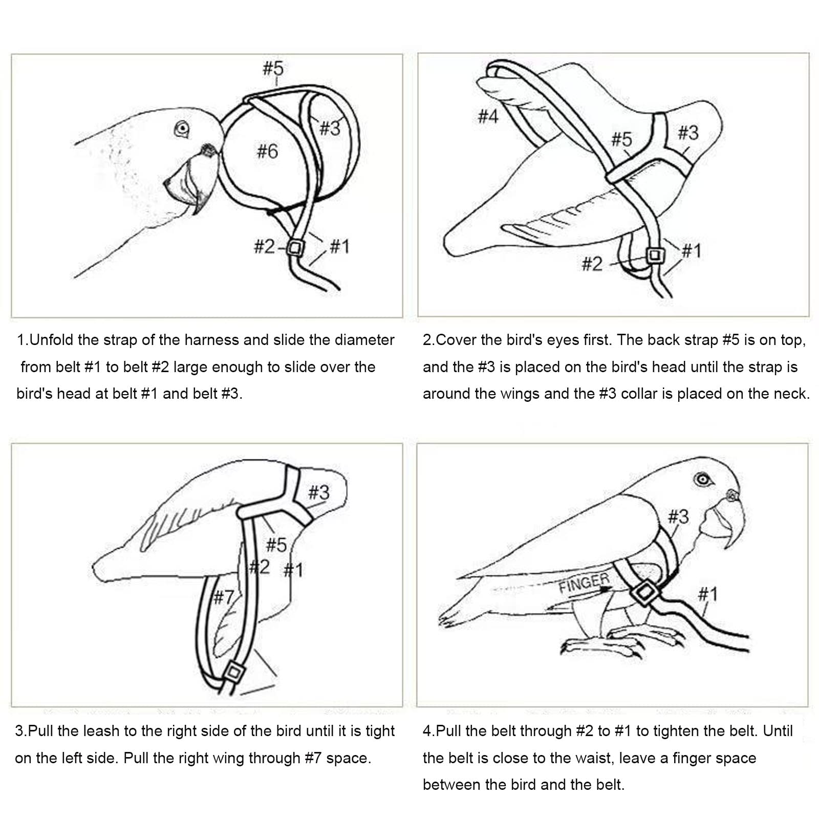 2PCS Adjustable Parrot Harness & Leash Set for Small Birds Under 37g - Secure Flight Training & Outdoor Adventure Gear for Parrots, Parakeets, Cockatiels - Perfect for Park Walks, Backyard Flying & Travel Safety