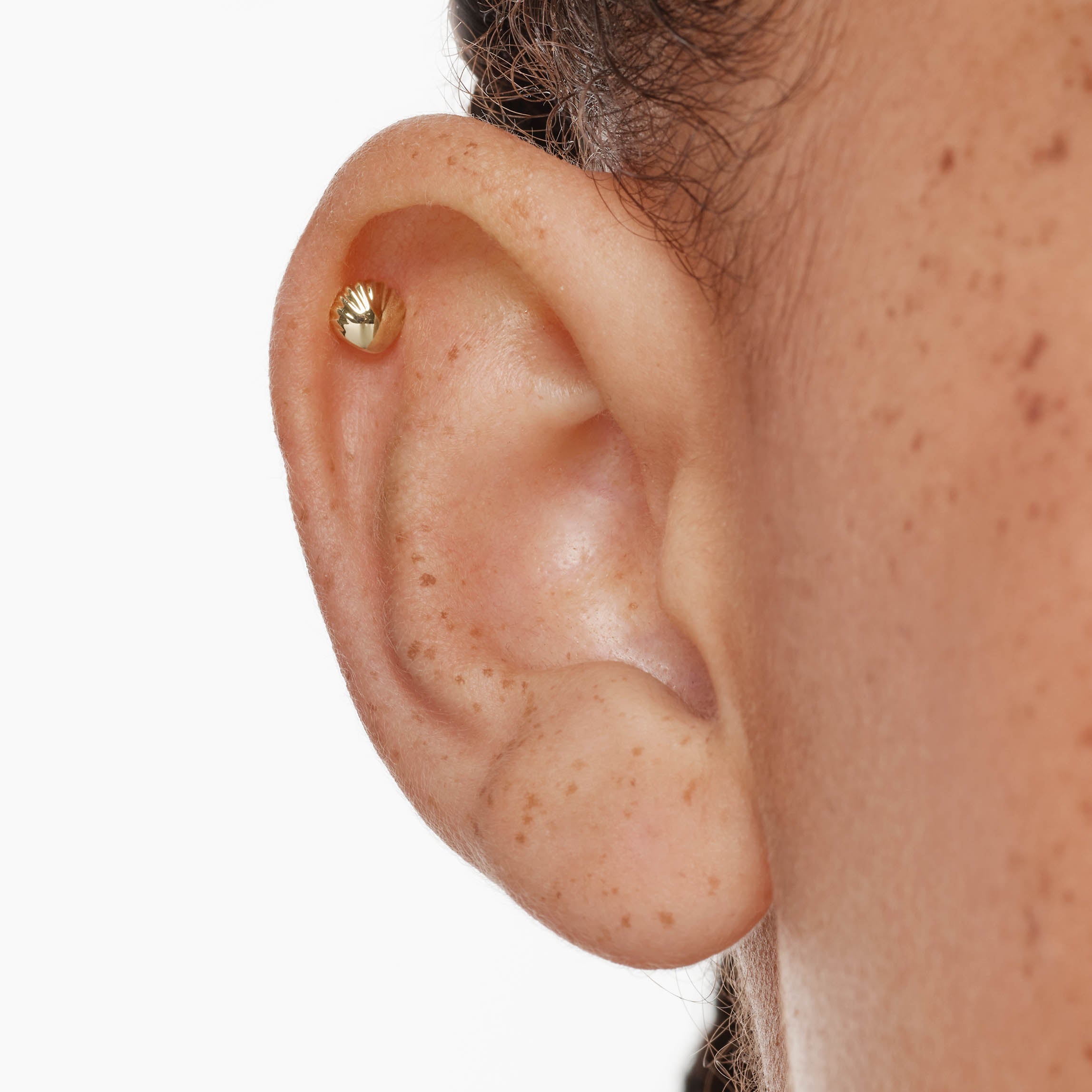 10k Gold Micro Shell Helix Single Stud Earring - Dainty & Hypoallergenic Earrings for Cartilage, Tragus, or Helix Piercing - Perfect for Everyday Wear & Gift Giving
