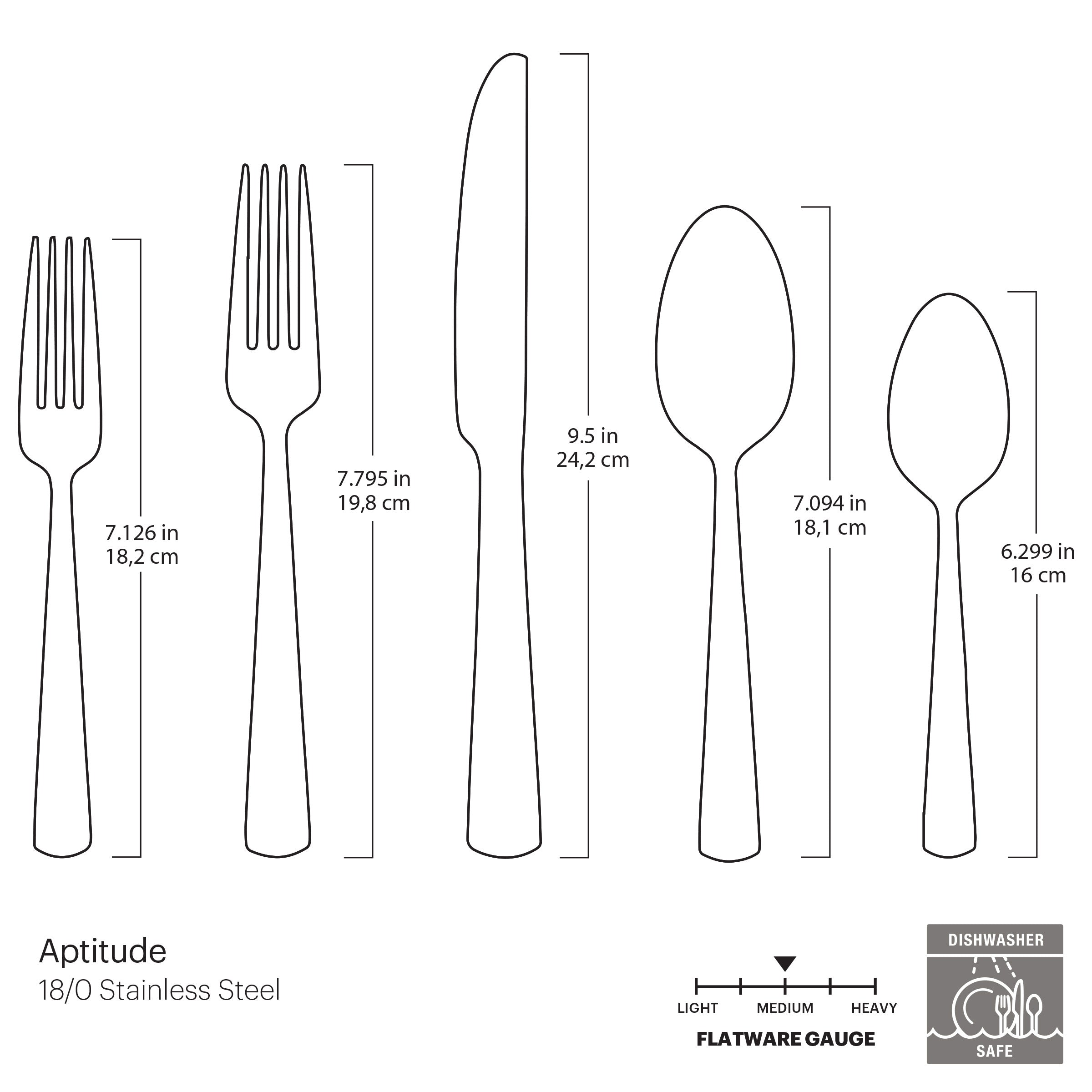 Premium Aptitude Midnight Glossy 20-Piece Flatware Set - Stainless Steel Silverware for Fine Dining, Dinner Parties & Everyday Use