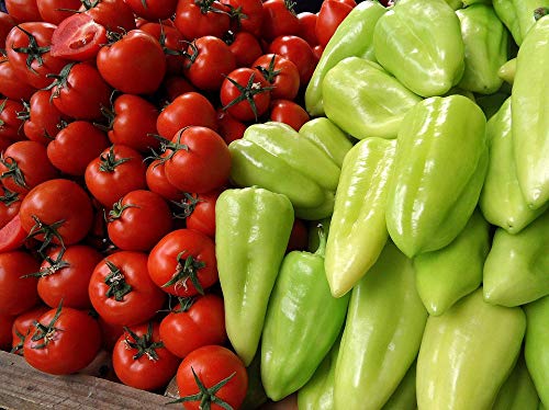 20x30 Inch Laminated Vegetable Poster - Vibrant Peppers, Tomatoes & Plants Illustration - Perfect for Kitchen Decor, Classroom Learning & Farmers Market Displays