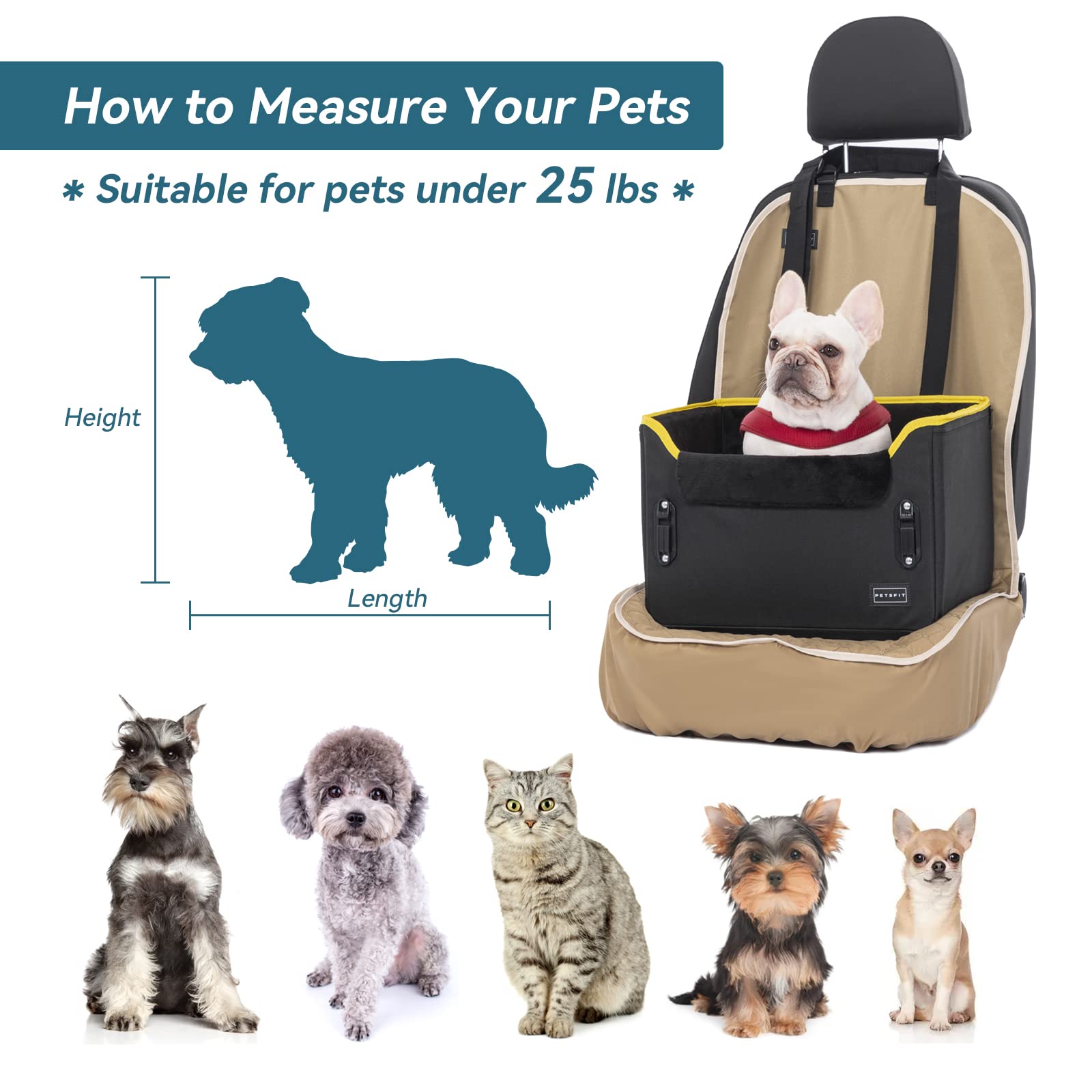 PETSFIT Small Dog Car Seat - Portable Pet Carrier with Secure Buckles & Clip-On Leash for Small Dogs Under 25lbs (Black) - Perfect for Road Trips & Safe Car Travel with Your Pet