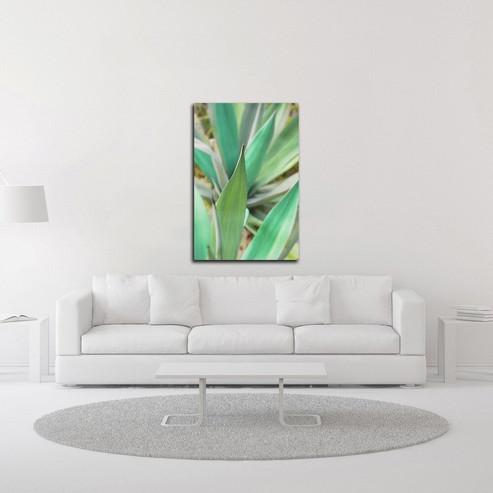 Alan Blaustein Agave Succulent 3 Canvas Wall Art Print - Ready to Hang Home Decor for Living Room, Bedroom & Office
