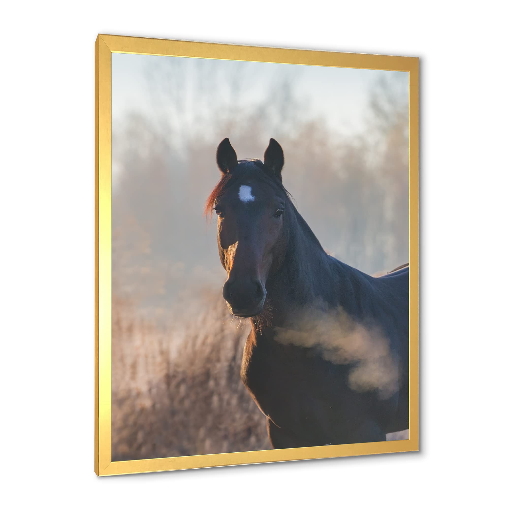 DesignQ Framed Horse Portrait Wall Art - Autumn Morning Farmhouse Decor for Living Room, Bedroom & Office
