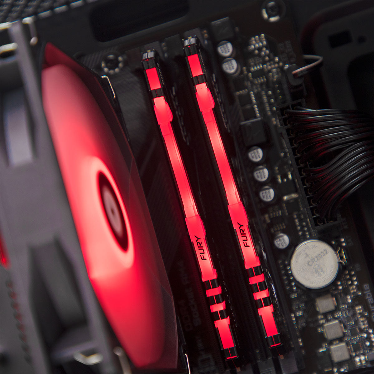 Carnage RX 7600 Ryzen 5 5600 Gaming Desktop Computer - High Performance PC for 1080p & 1440p Gaming, Streaming & Content Creation