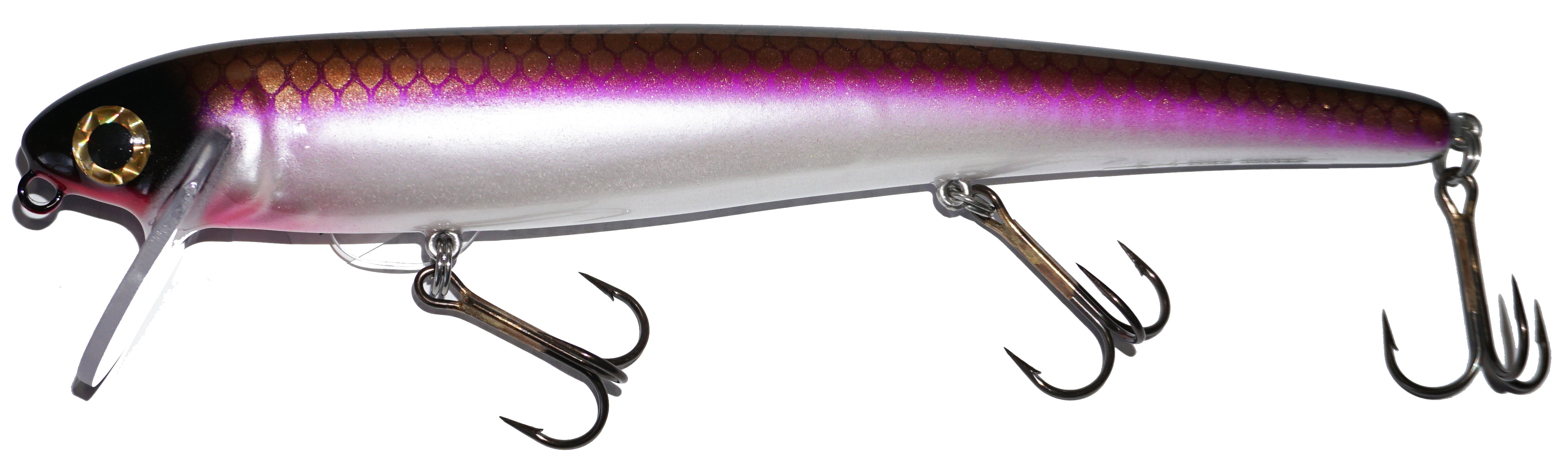Big Fork Twitch Darter Bait - 10-Piece Crankbait Fishing Lure Set for Bass, Trout & Walleye - Perfect for Freshwater & Saltwater Fishing Adventures