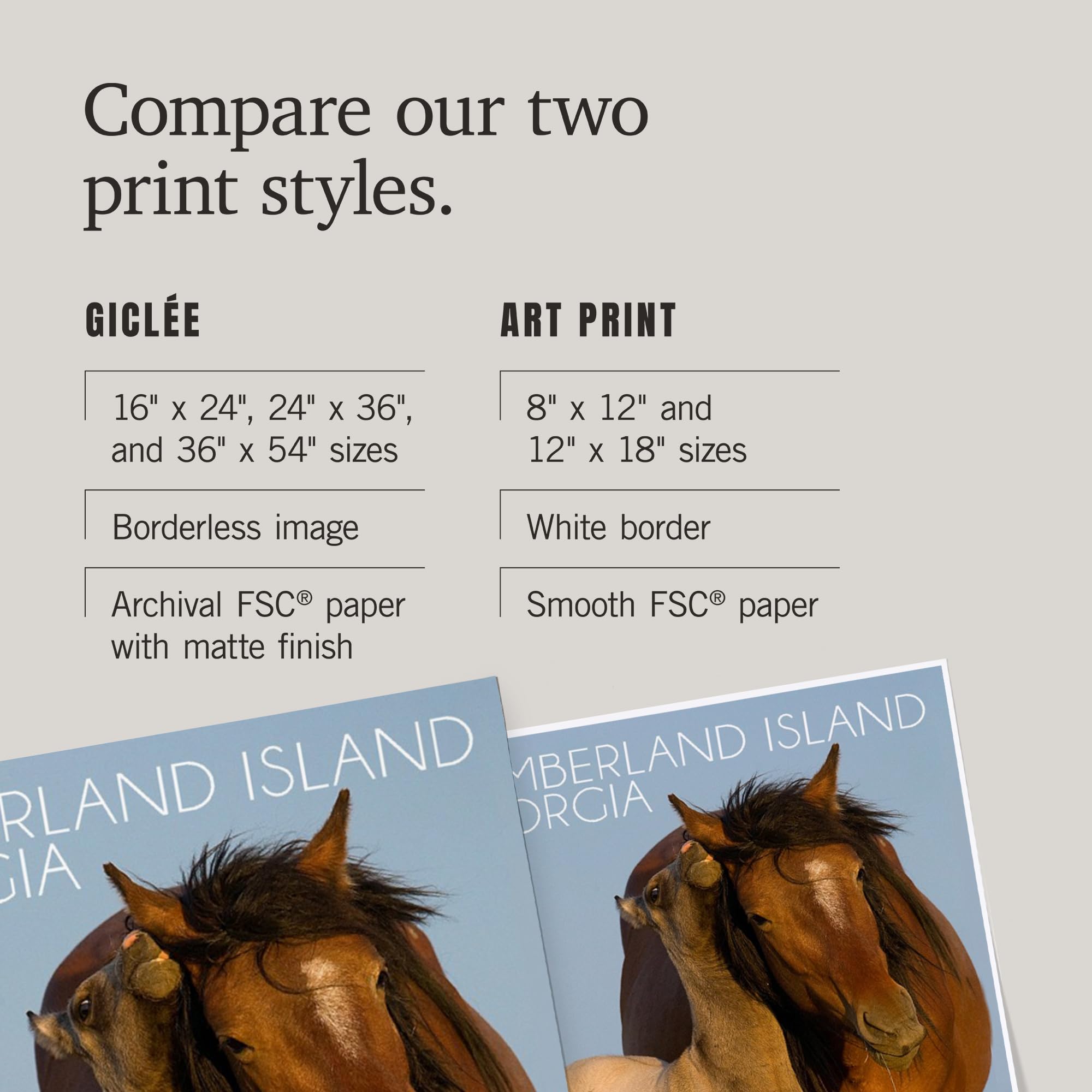 Lantern Press 16x24 Inch Giclee Art Print - Cumberland Island Georgia Wild Horses Landscape Wall Decor - Perfect for Living Room, Bedroom & Office Wall Art