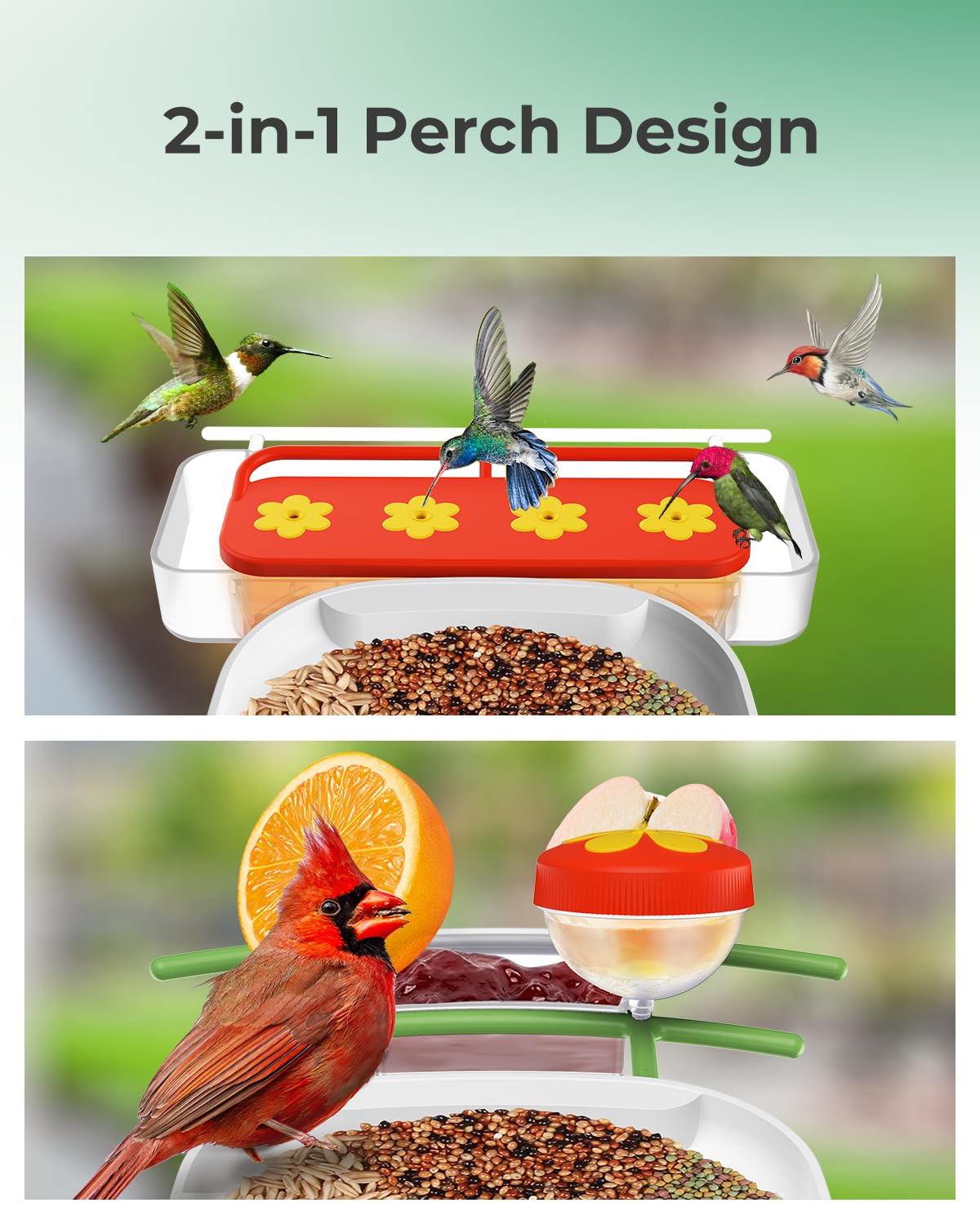Smart Bird Feeder with Camera - 1080P HD AI Hummingbird Identification & Auto Video Capture, 2-in-1 Feeder Perch | Perfect for Backyard Bird Watching & Nature Photography