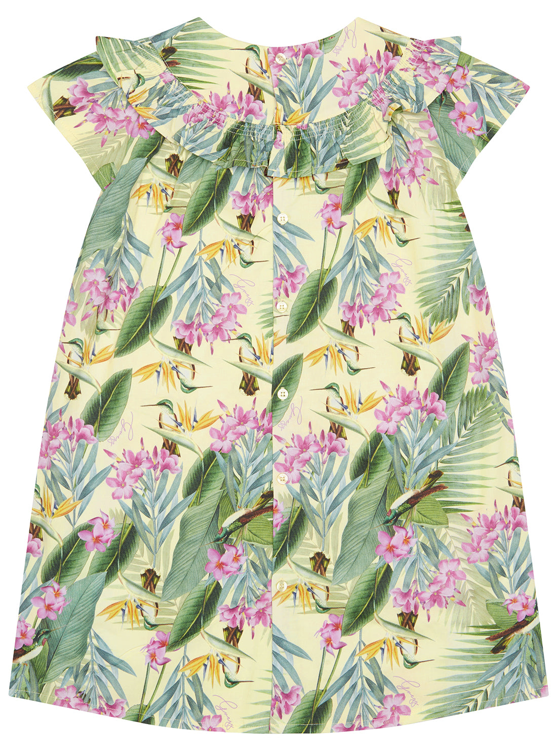 Floral Print Poplin Dress for Women - Summer Casual Short Sleeve A-Line Dress (Size 2-7) - Perfect for Beach, Vacation, and Everyday Wear