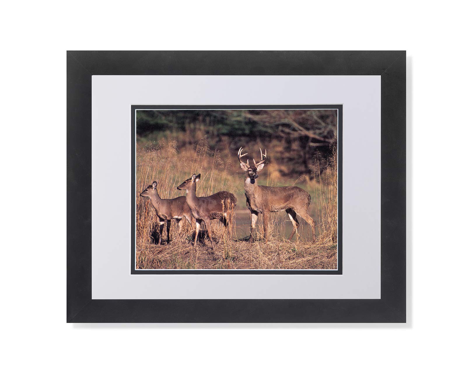 Buck Deer Big Antler Rack with Family by River - Framed Wall Art Print with Matte - Wildlife Home Decor for Living Room, Cabin & Office