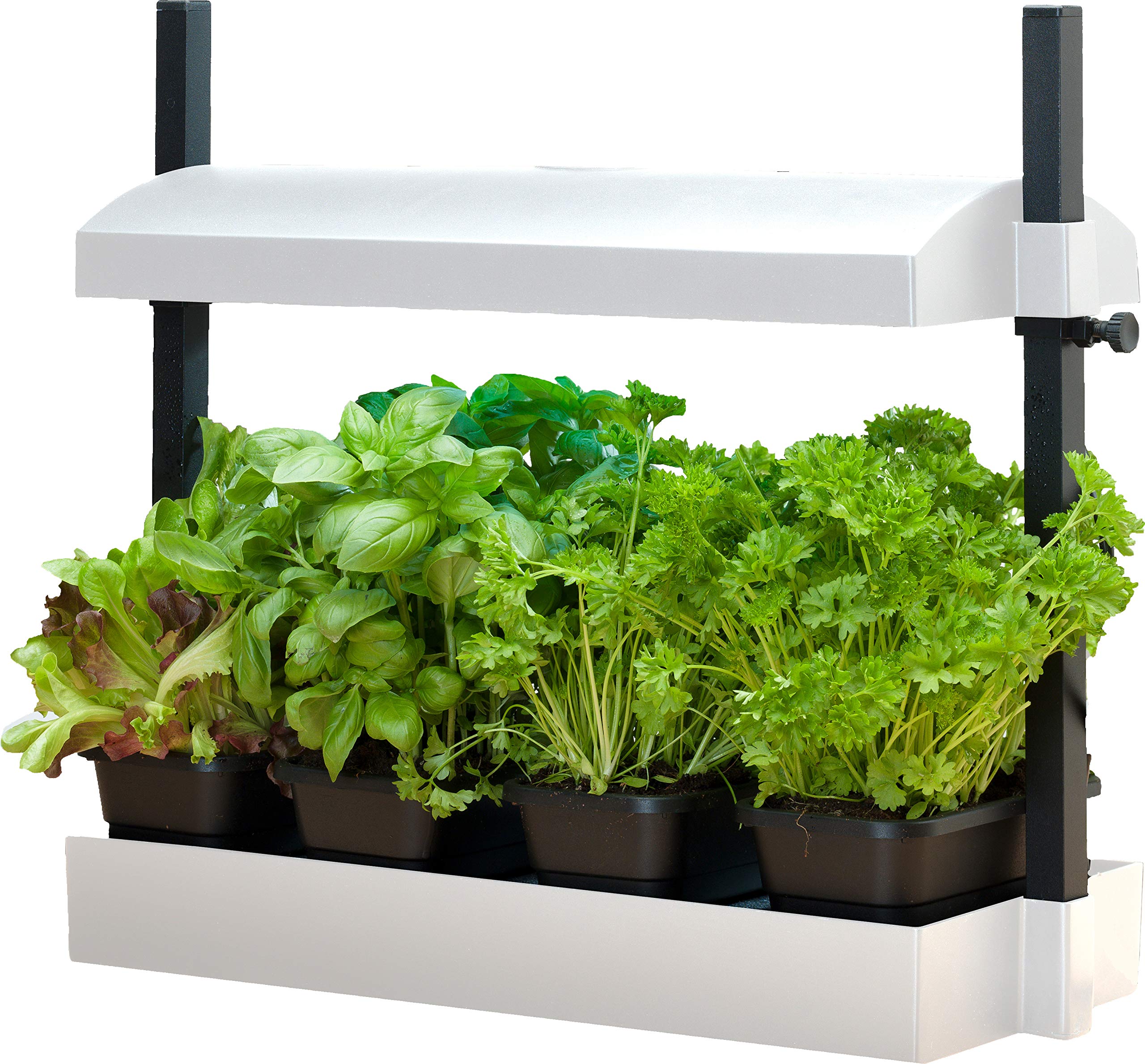 SunBlaster SL1600199 T5HO Micro Grow Light with Reflector & 4 Seedling Trays - Ideal for Indoor Gardening, Flower/Herb/Veggie Seed Starting & Plant Propagation - Perfect for Hydroponics, Greenhouses & Home Garden Setup