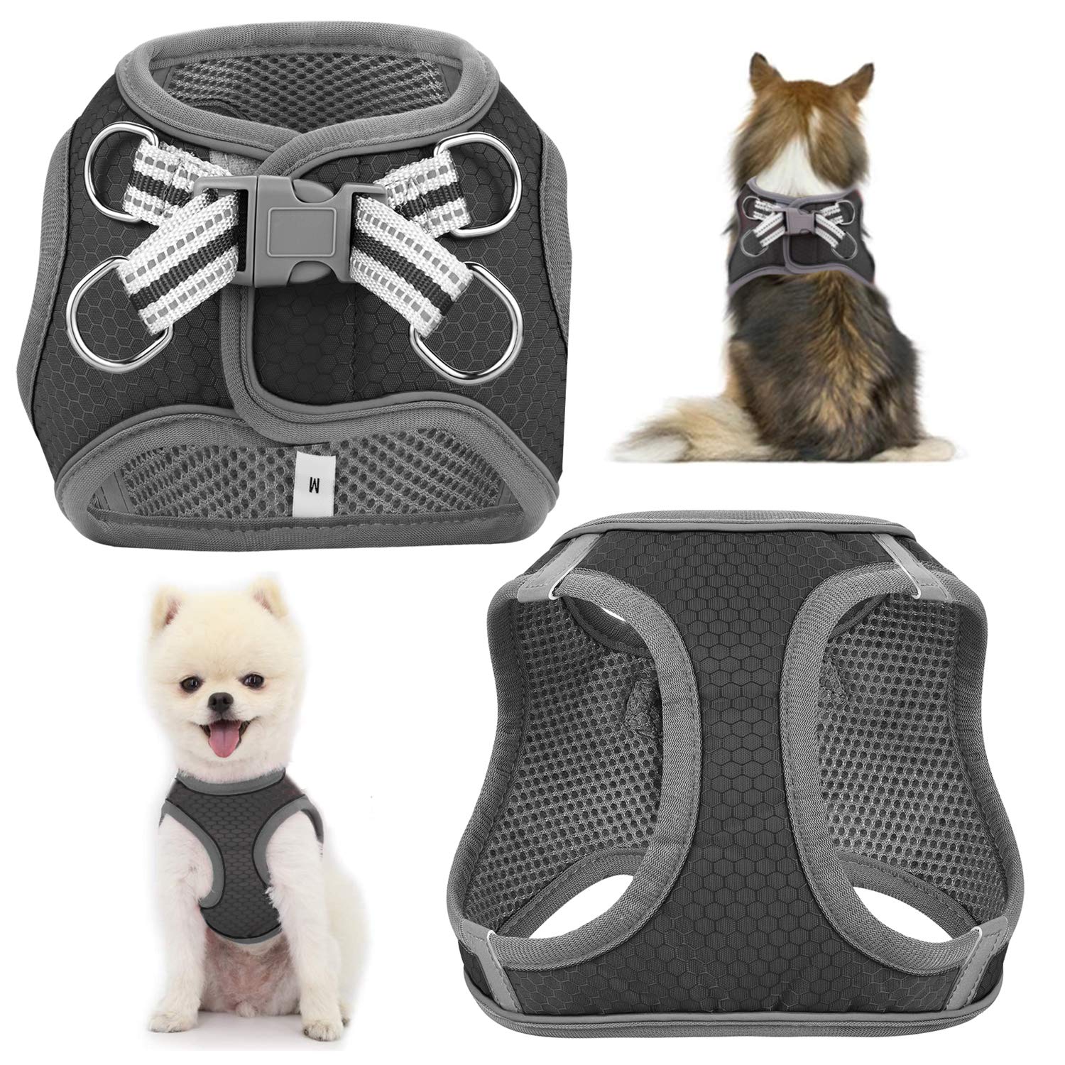 JSXD Small Dog Harness & Leash Set - Adjustable Step-in Vest with 3M Reflective Strips for Small to Medium Puppies - Perfect for Walking, Training & Nighttime Safety