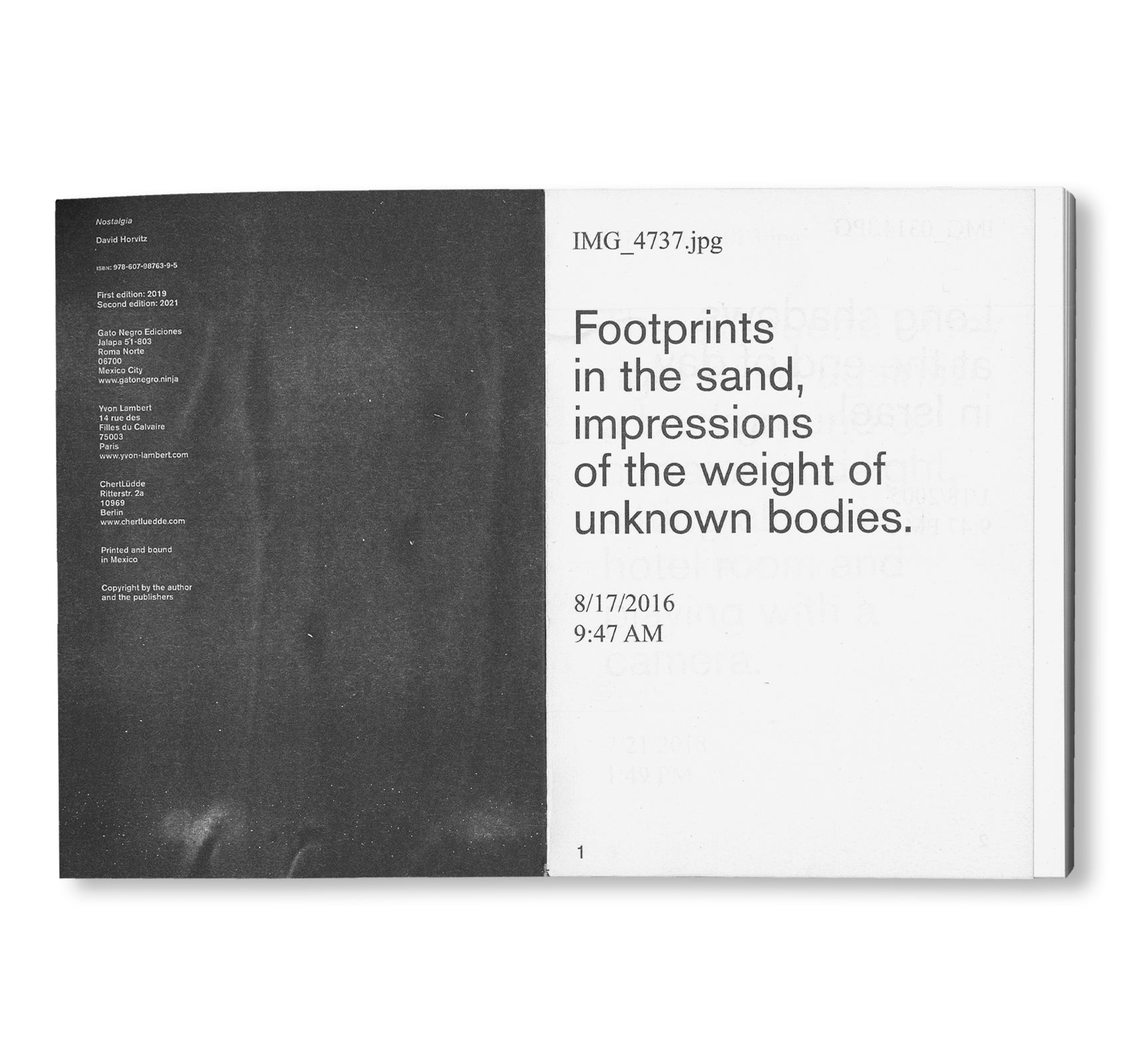 NOSTALGIA (2021) by David Horvitz - Contemporary Art Book for Collectors & Enthusiasts | Perfect for Home Decor, Art Lovers & Creative Inspiration