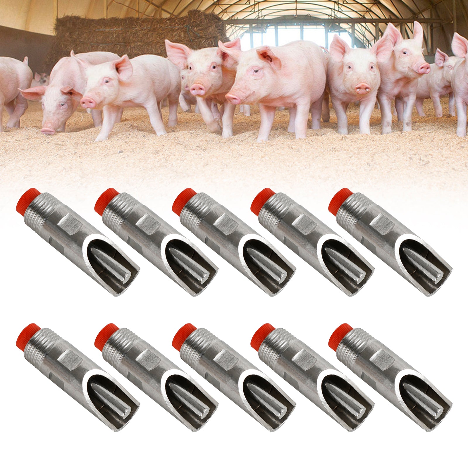 10Pcs Stainless Steel Automatic Pig Waterer with 1/2