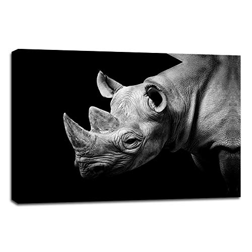 Animal wall art 26