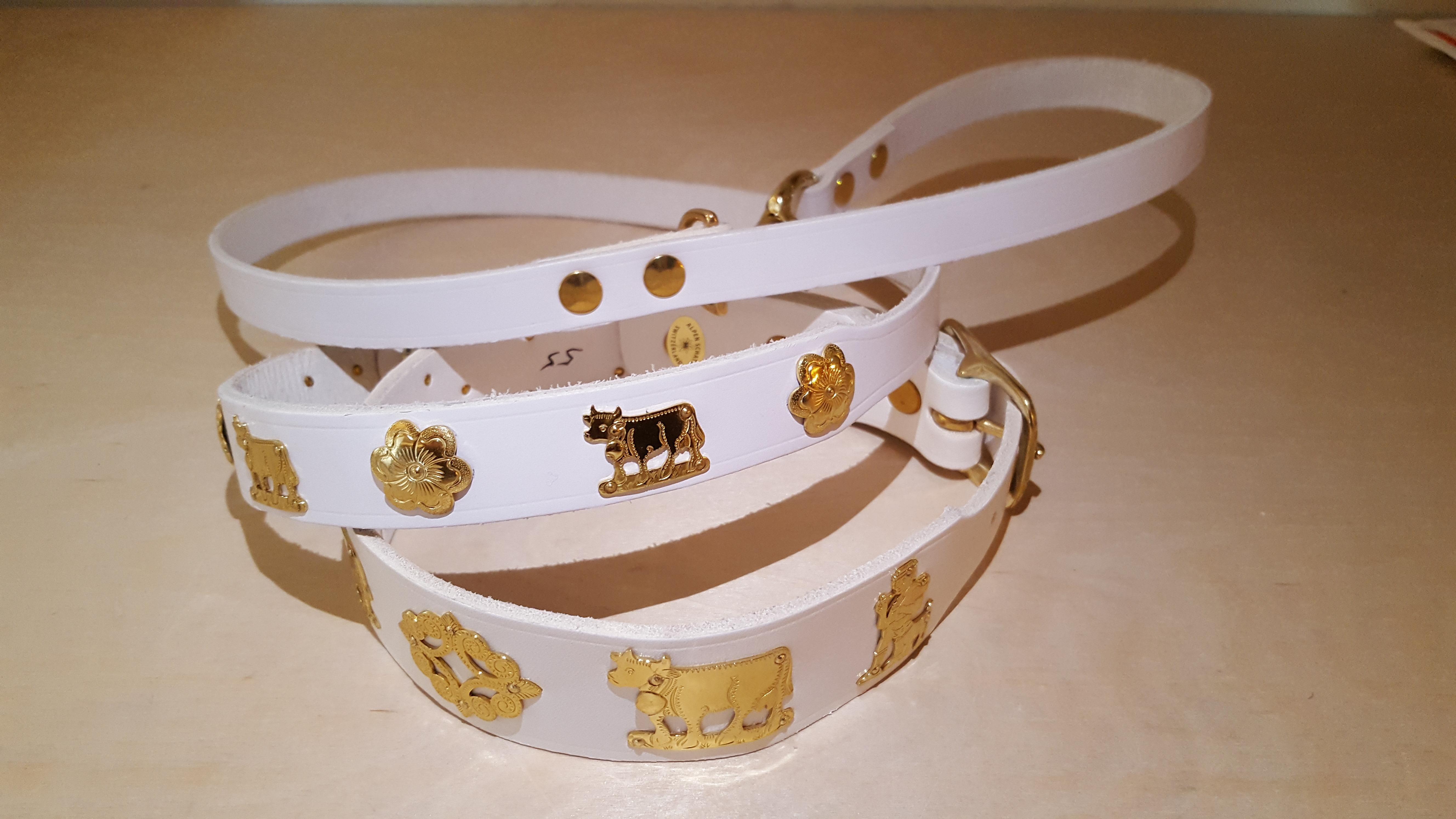 Premium 1 1/4 Inch Medium Swiss Dog Collar - Contemporary Design for Small to Medium Dogs - Perfect for Daily Walks, Training & Fashion Accessories