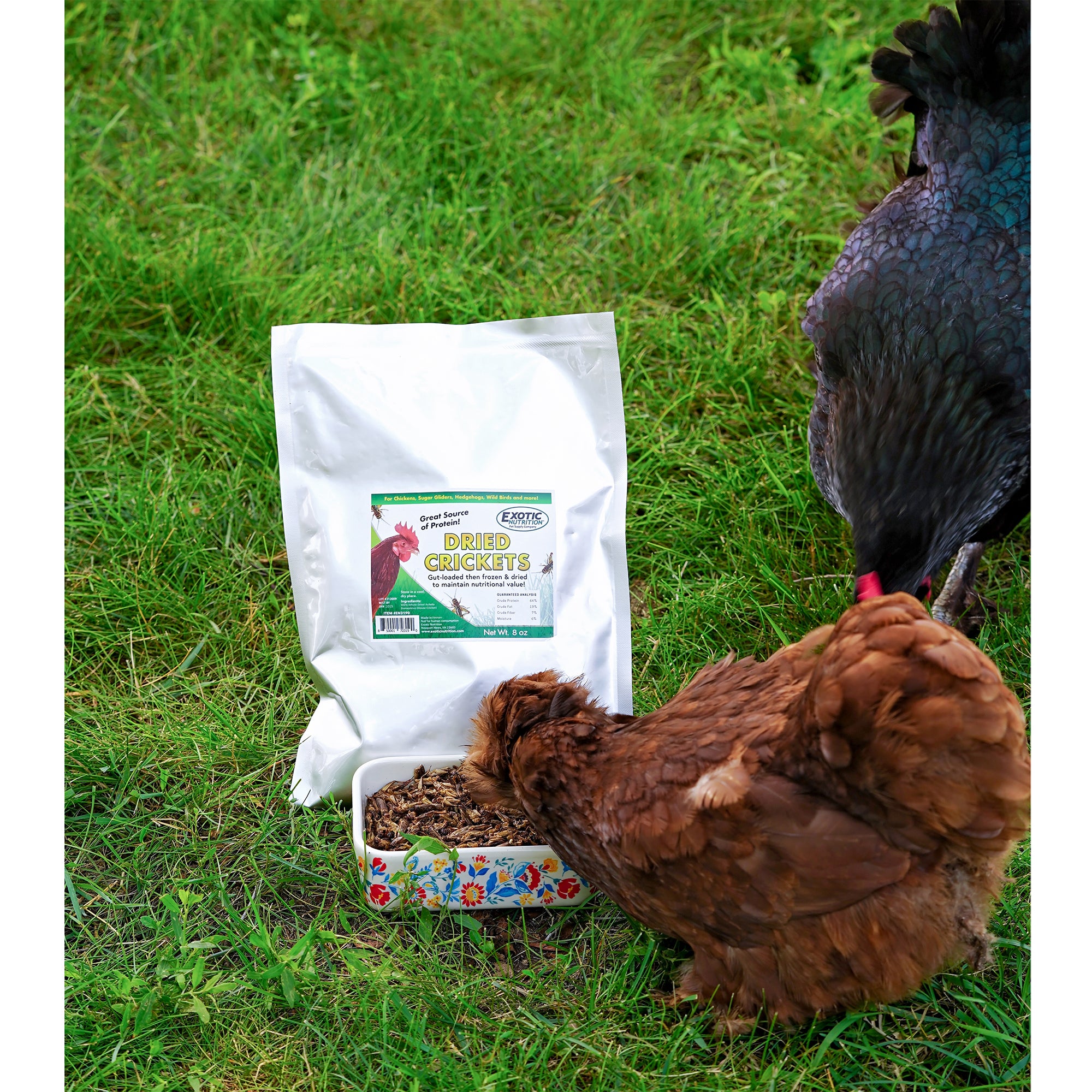 Premium Chicken Treats 3-Pack - All-Natural Healthy Snacks for Chickens - Perfect for Training, Rewards & Backyard Poultry Care