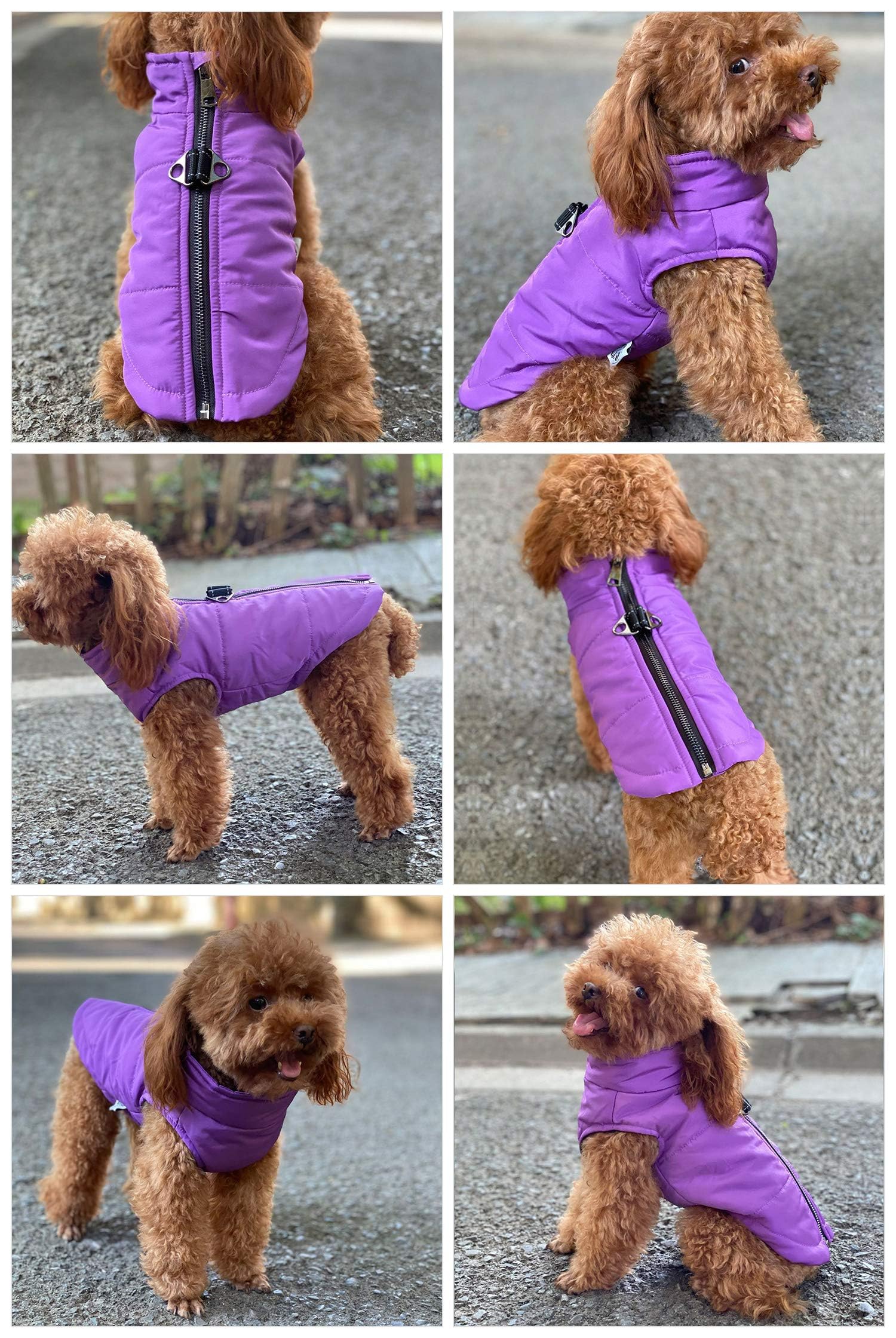 Waterproof Ultra Warm Dog Winter Vest with Cotton Lining - Windproof Zippered Jacket for Small, Medium & Large Dogs | Breathable Soft Dog Coat for Cold Weather Outdoor Activities (Purple, XXXL)