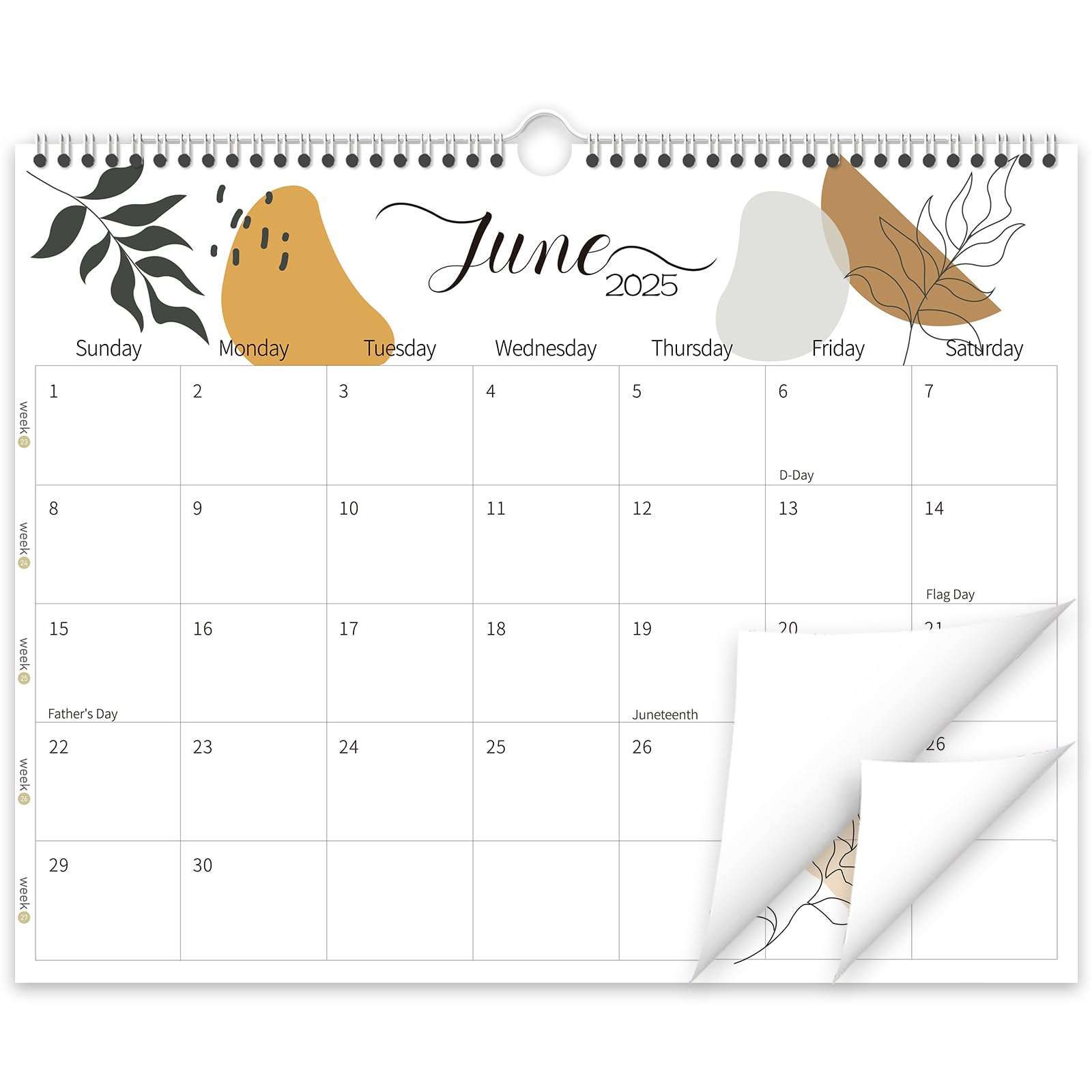 Guasslee 2025-2026 Wall Calendar - 19 Month Planner (June 2025 to December 2026) - 14