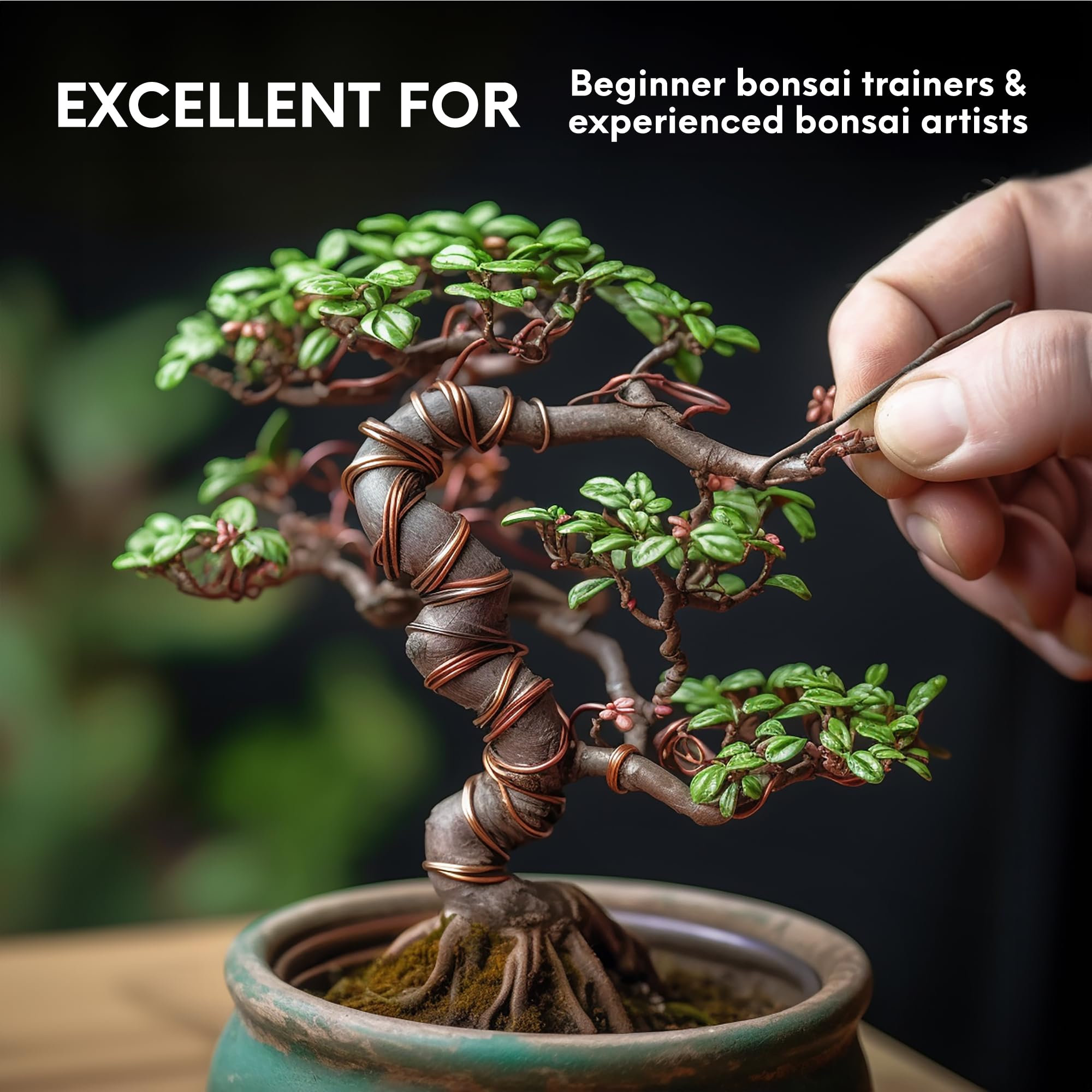 Anodized Aluminum Bonsai Training Wire - 1.6mm 14 Gauge (100ft) - Flexible & Bendable Tree Shaping Wire - Rust & Corrosion Resistant Plant Wire Kit for Bonsai, Topiary & Indoor Gardening Projects