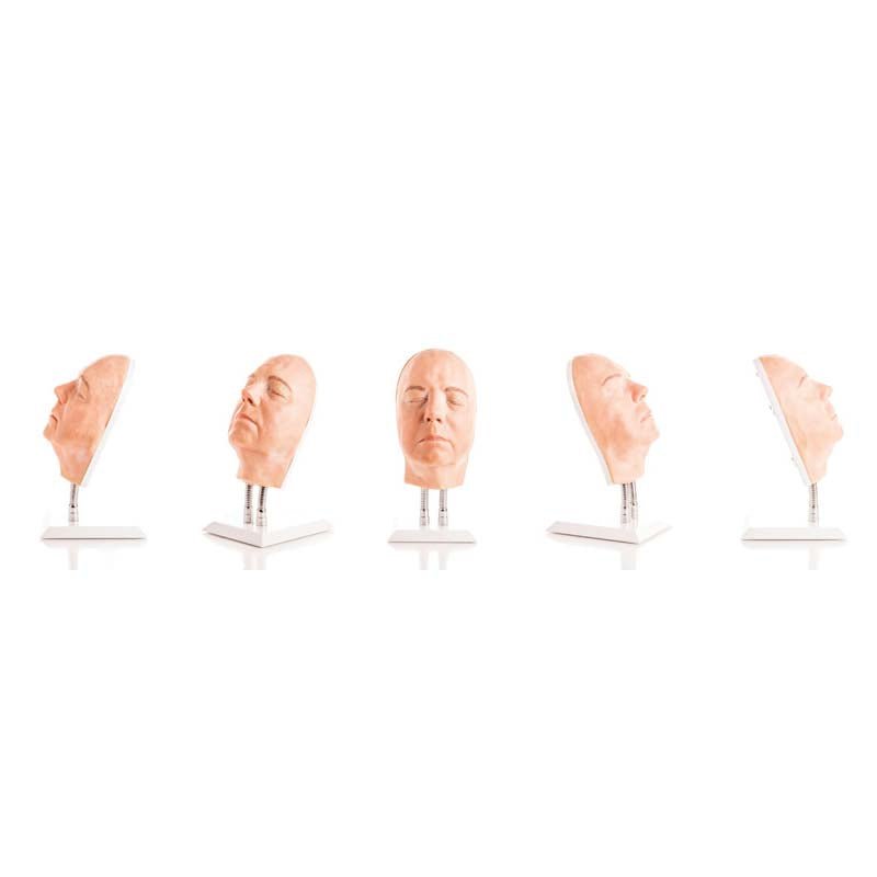 Professional Facial Injection Head Model for Medical Training - Light Skin Version B - Perfect for Aesthetic & Dermatology Practice, Classroom Demonstrations, and Cosmetic Procedure Simulations
