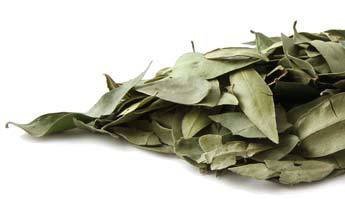 Organic Myrtle Leaf Bulk Herbs - Premium Quality, Fresh & Aromatic for Tea, Cooking & Aromatherapy