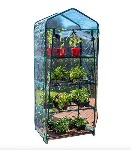 4-Tier Walk-In Greenhouse for Plants & Seedlings - Durable Outdoor Garden Greenhouse with Cover - Perfect for Backyard, Patio, and Indoor Gardening