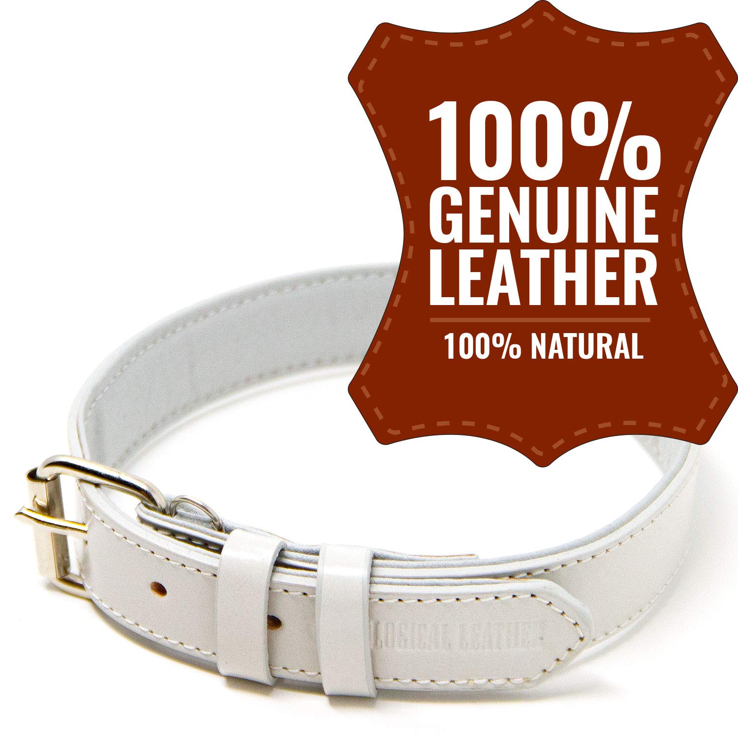 Premium Genuine Leather Dog Collar for Medium Dogs - Soft Padded Full Grain Leather Pet Collar with Durable Buckle (Grey, Size M) - Perfect for Daily Walks, Training & Outdoor Adventures