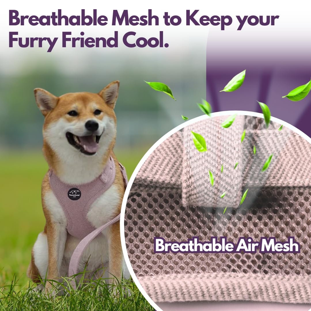 Adjustable Soft Breathable Padded Mesh Dog Harness for Small Dogs & Puppies - Lightweight Comfortable Training Vest with Adjustable Straps (Beige, XS) - Perfect for Walking, Hiking & Outdoor Adventures