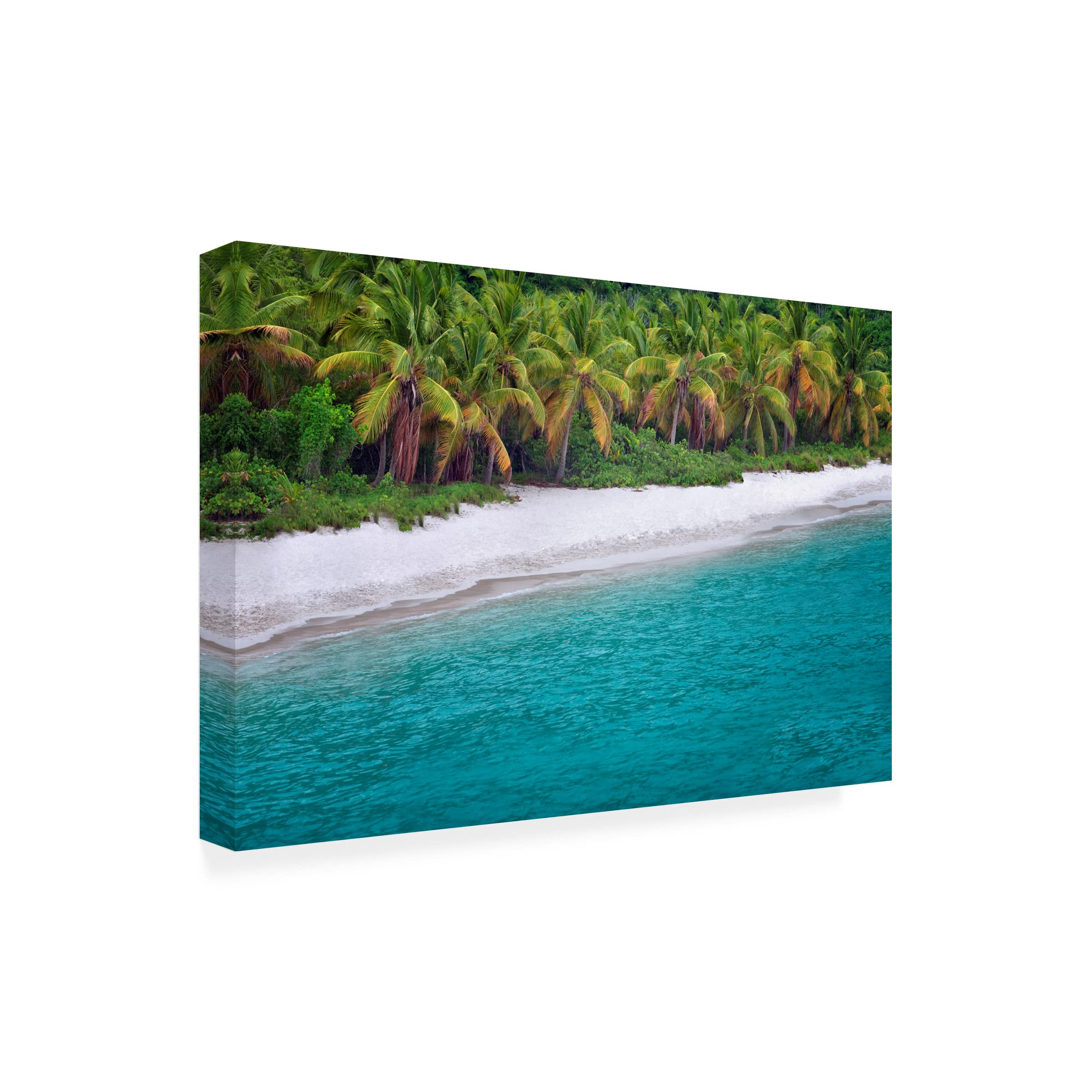 Dennis Frates 'Beach 10' Canvas Wall Art Print - Coastal Decor for Living Room, Bedroom & Office - Trademark Fine Art Collection