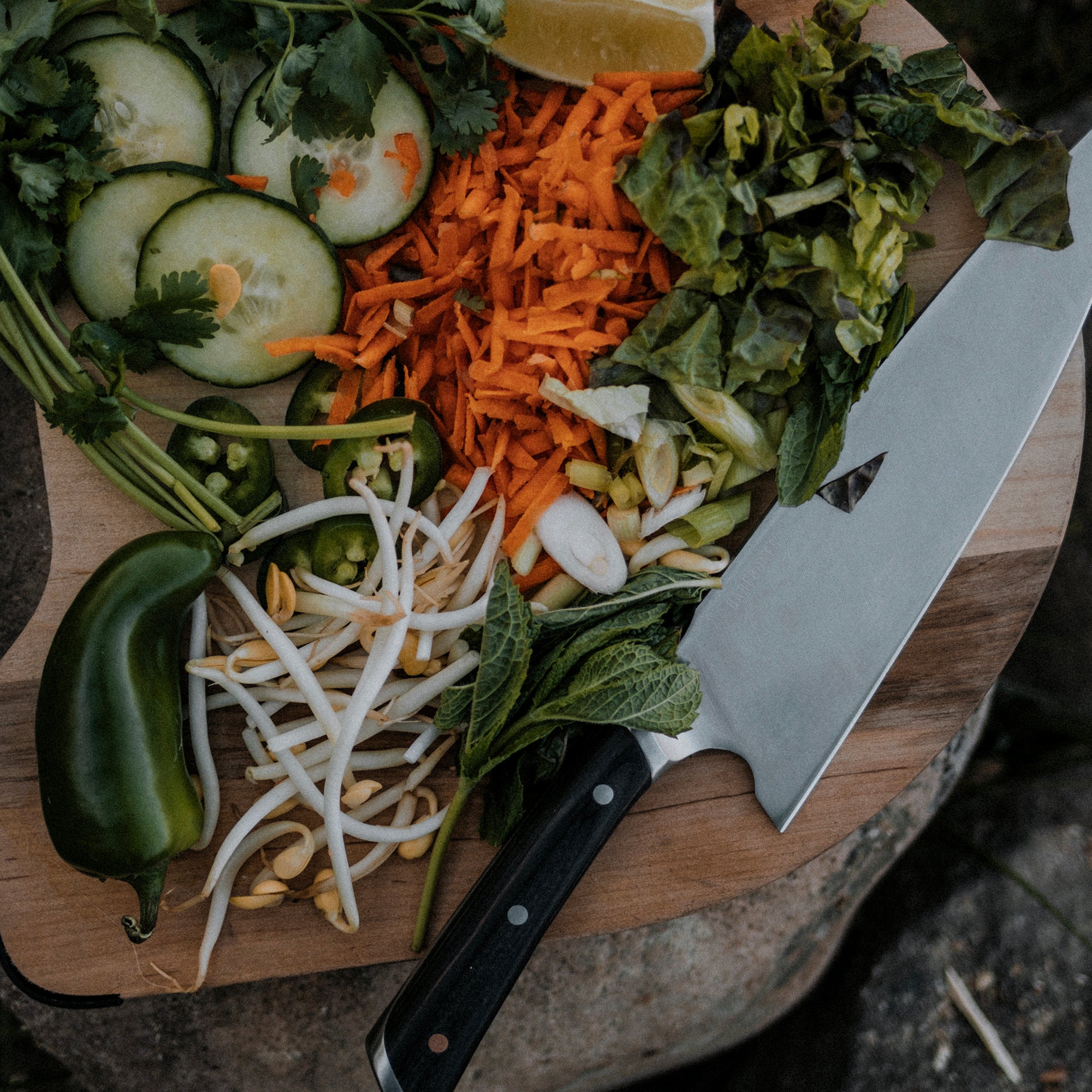 Premium No. 8 Chef Knife - Professional 8-Inch Kitchen Knife for Slicing, Dicing & Chopping - Perfect for Home Cooks & Professional Chefs - Ideal for Vegetables, Meat & Fruits Preparation