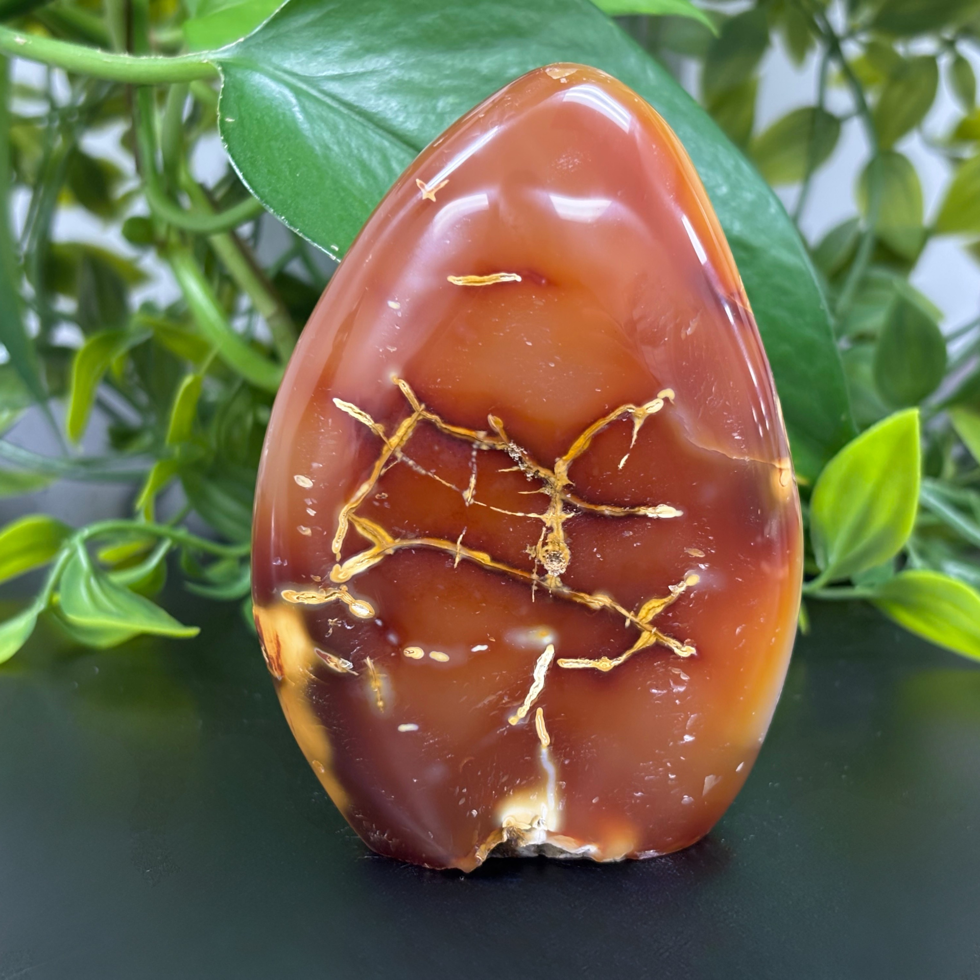 Natural Carnelian Freeform Crystal - Healing Stone for Home Decor, Office Feng Shui & Meditation | RPS453
