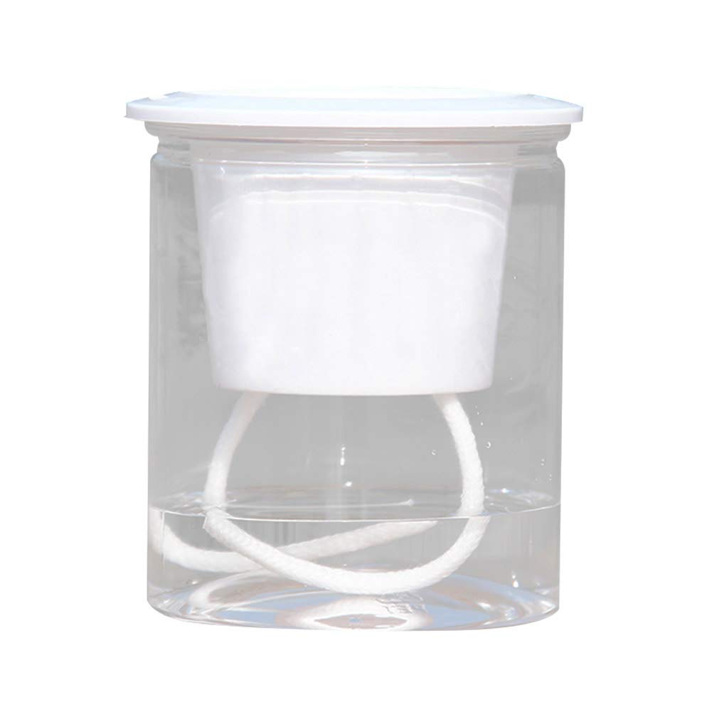 Self Watering Flower Pots - Clear Automatic Water Absorption Planter for Hydroponics, Seedlings, Indoor & Outdoor Plants | Perfect for Home Garden, Balcony Decor, Office Desk & Gift Ideas