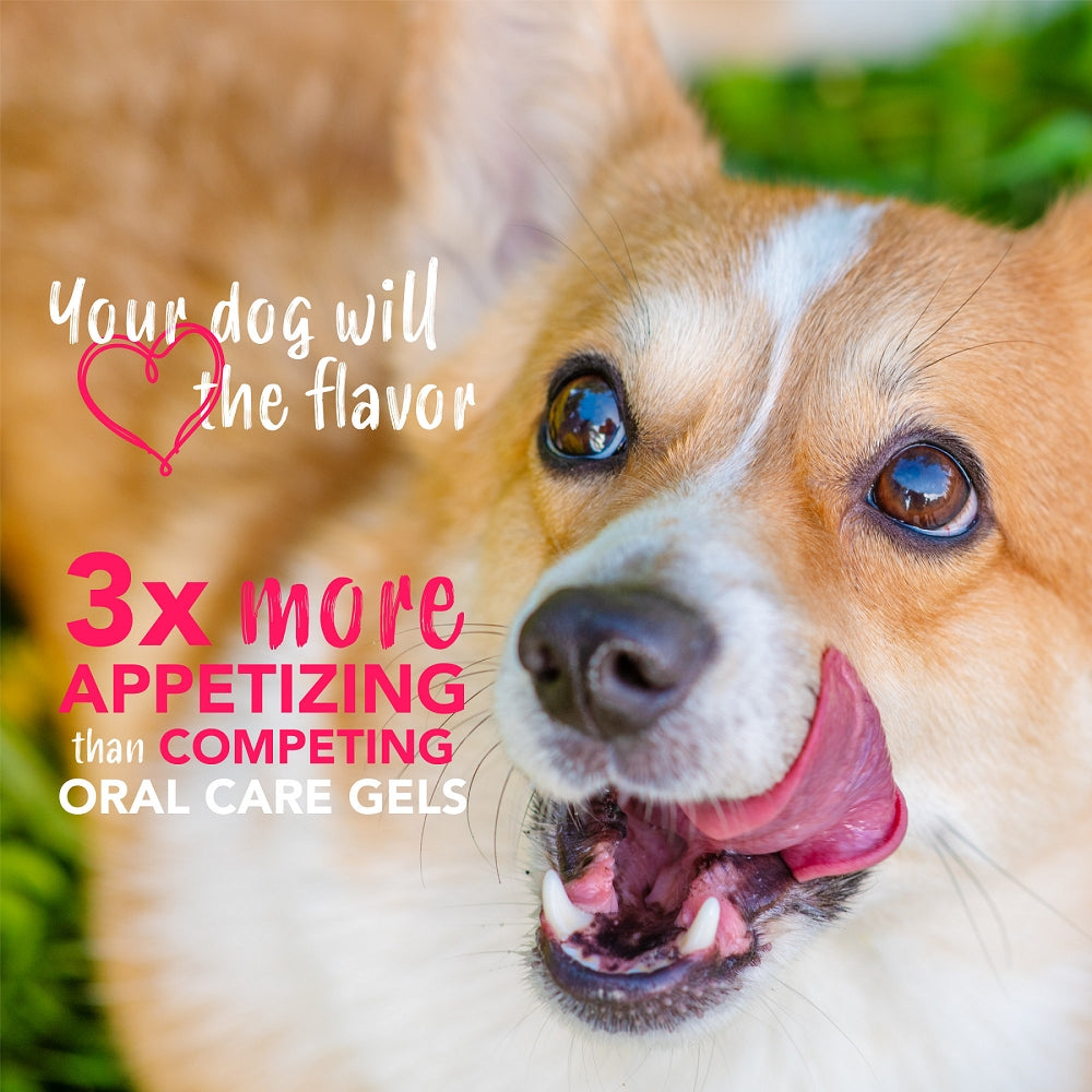 Enticers Peanut Butter & Honey Dental Gel for Dogs - Natural Teeth Cleaning & Fresh Breath Solution - Perfect for Daily Oral Care & Dog Treats